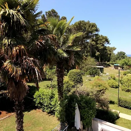 Apartment Apartments Andrea B4 *